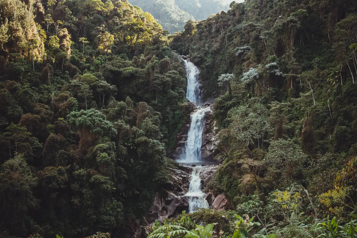 tamanique waterfalls skip the 45 tour hire a guide 3