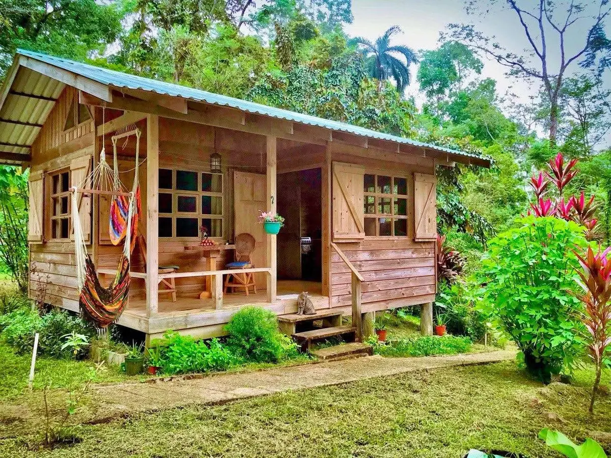 Birdwatching in El Salvador: Best Hotspots and When to Go 5 birdwatching in el salvador best hotspots and when to go 2