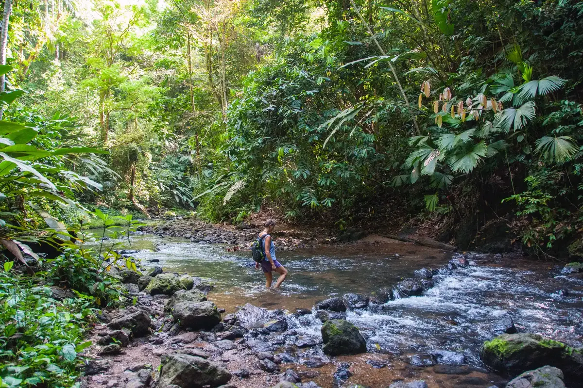 el imposible national park el salvador a complete guide 3