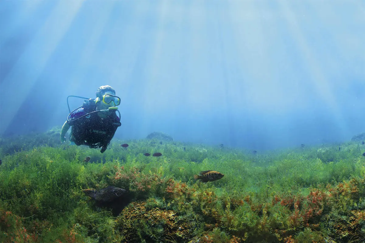 scuba diving in el salvador an honest guide from a diver 7