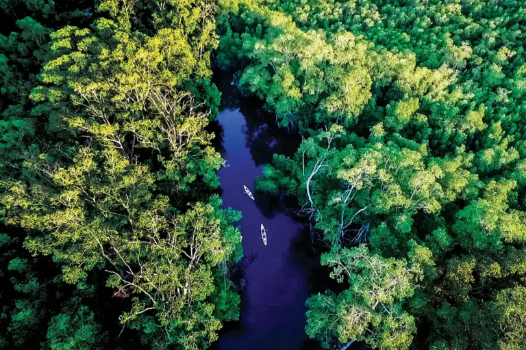 Jiquilisco Bay, El Salvador: Mangroves, Turtles & Travel Tips