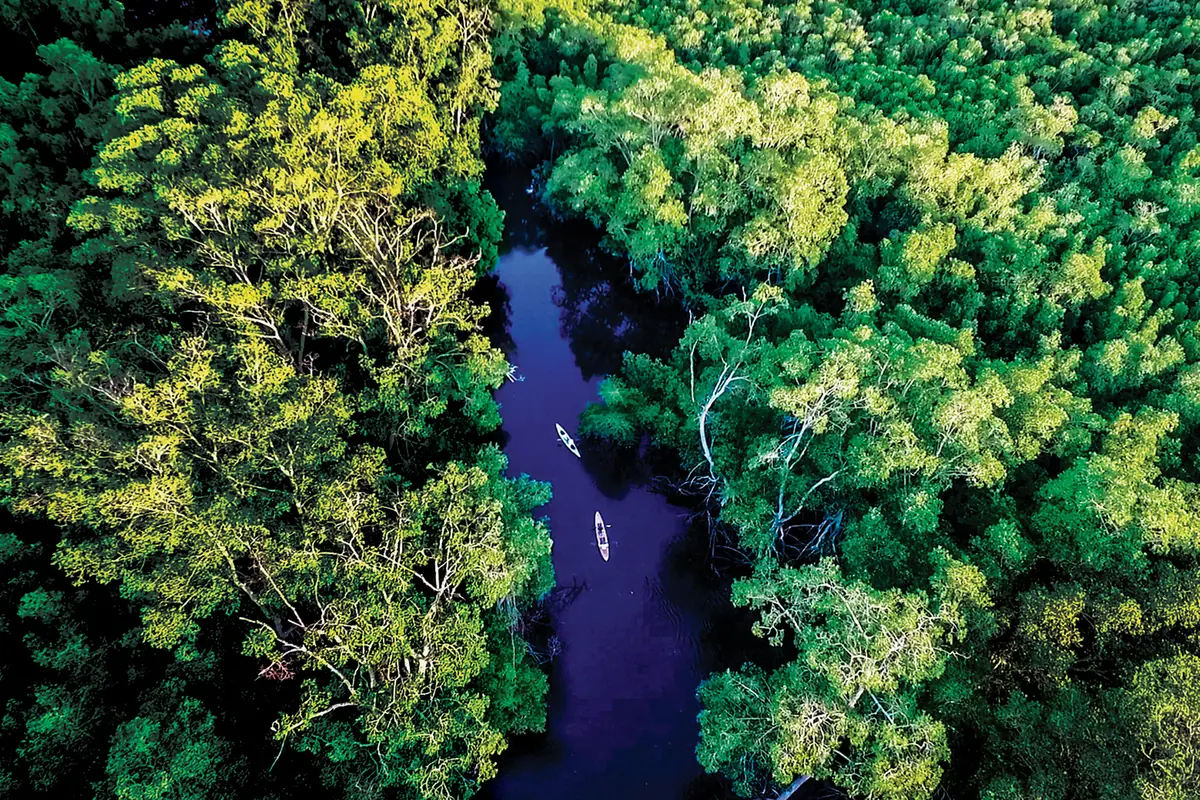 Jiquilisco Bay, El Salvador: Mangroves, Turtles & Travel Tips