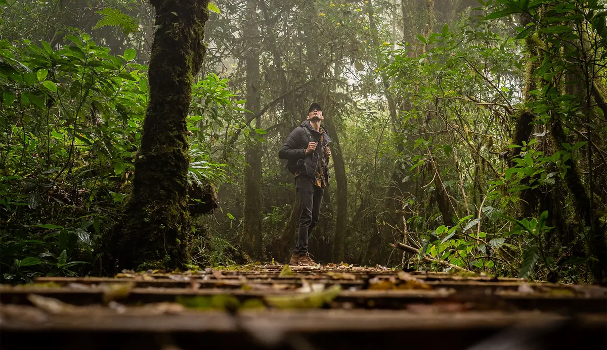 montecristo national park el salvador cloud forest guide 8